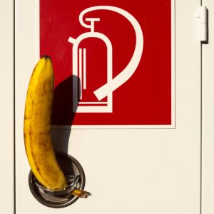 Heidrun Wettengl: Alles Banane 1, Fotoserie, 30x20 cm, 2016. Alle Rechte vorbehalten.