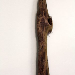 Heidrun Wettengl: Holz 3.0 (Detail 4), Wandinstallation, Holzobjekte, Objektkästen jeweils 52x52 cm, 2014. Alle Rechte vorbehalten.