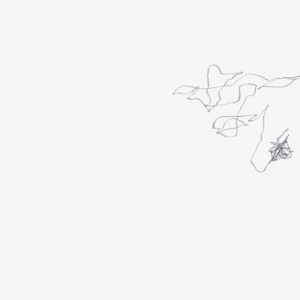Heidrun Wettengl: Paarung 12, Bleistift auf Papier, 21x29,7 cm, 2013. Alle Rechte vorbehalten.